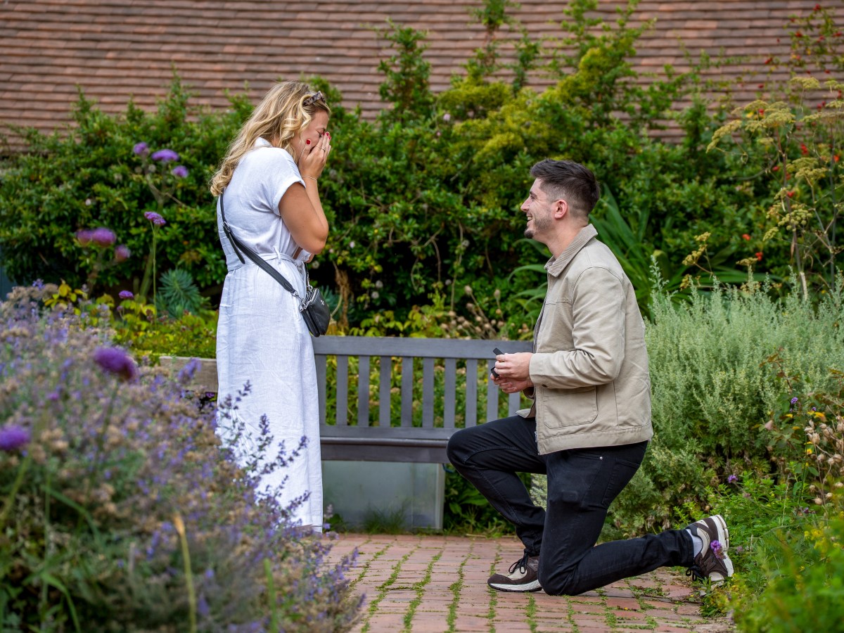 Surprise Proposal –&nbsp;Rottingdean